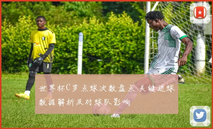 世界杯C罗点球次数盘点 关键进球数据解析及对球队影响
